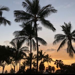 Meet your Posher, Kiley